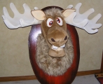 Crazy Moose